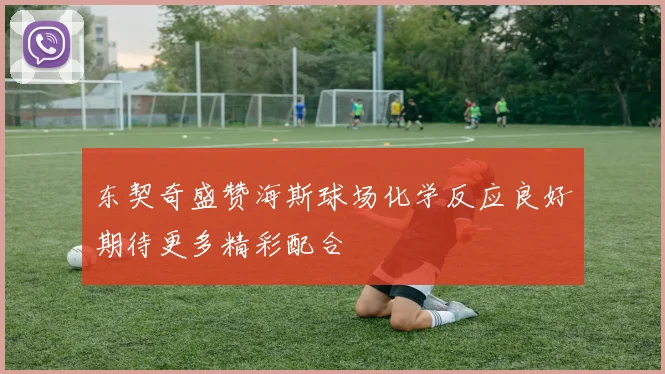东契奇盛赞海斯球场化学反应良好期待更多精彩配合