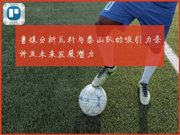 鲁媒分析瓦科与泰山队的吸引力条件及未来发展潜力