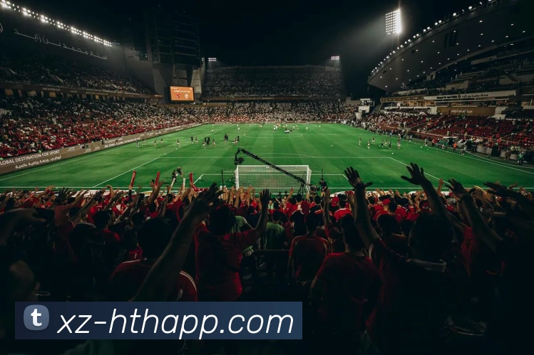 多媒体互动体验